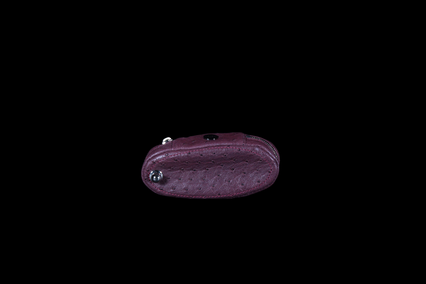 WZ-Key Case Ostrich